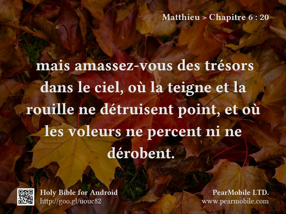 Matthieu, Chapitre 6:20